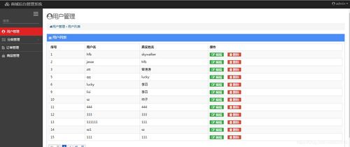 計算機軟件畢業(yè)設(shè)計項目源碼大全與淄博軟件定制服務(wù)指南